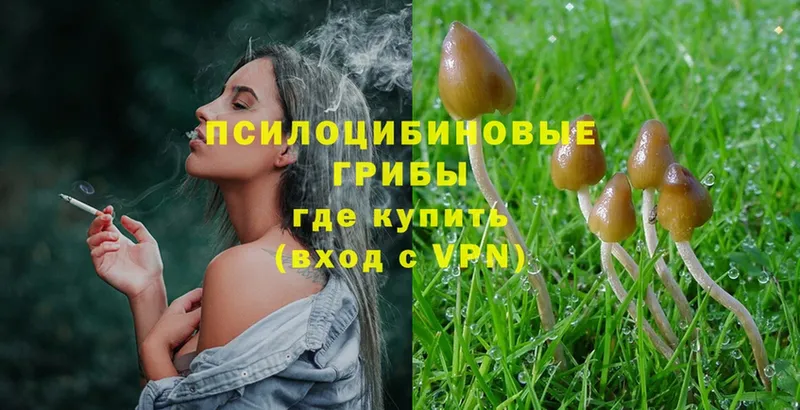 Галлюциногенные грибы Magic Shrooms  Лаишево 